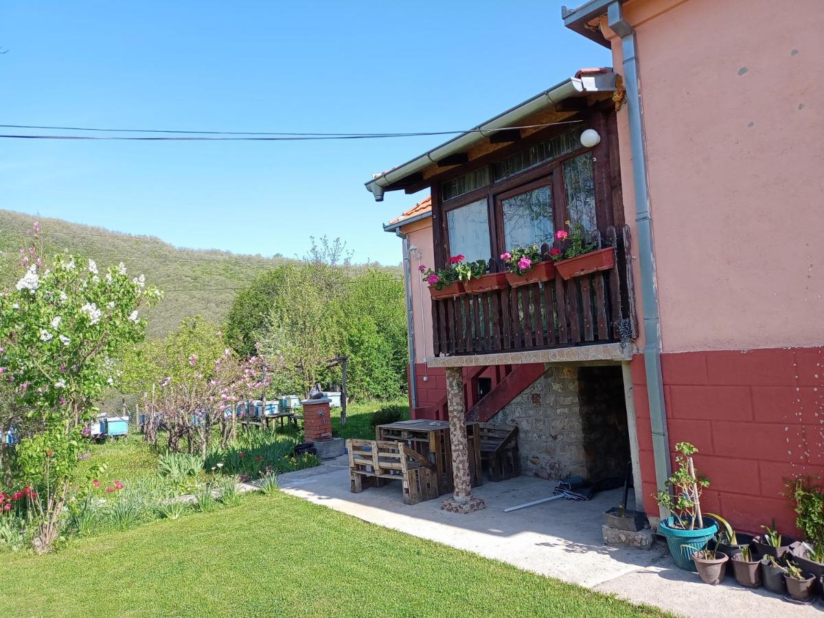 Kuca Jablansko Polje Villa Krepoljin Екстериор снимка